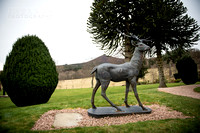 rhona-alan-12