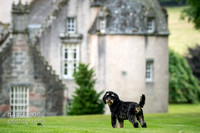Louie at Castle Fraser