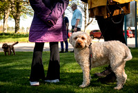 doodles-castle fraser-12