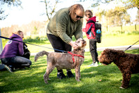 doodles-castle fraser-4