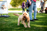 doodles-castle fraser-10