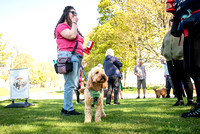 doodles-castle fraser-17