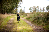 daisy-bramble-4