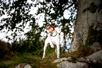 daisy-bramble-19