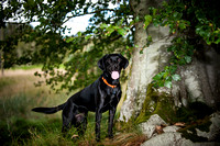 daisy-bramble-12