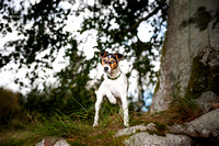 daisy-bramble-18